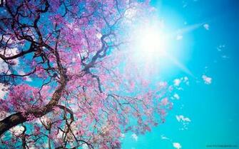 Spring Season HD Wallpaper Gallery