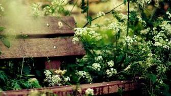 The Country And Cute Flowers Wallpaper Wide