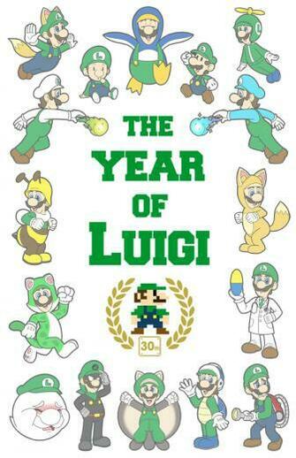 The Year Of Luigi By Red Flare