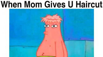 Dank Memes Picture Wallpaper