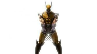 Wolverine Computer Wallpaper Desktop Background Id