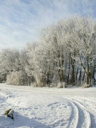 Snowy Path Trees Fields House iPad Mini Wallpaper
