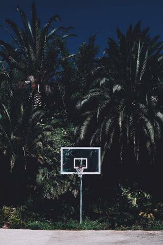 Marco Wright On Hoops Basketball Wallpaper