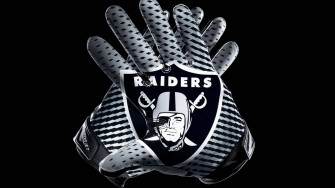 Top Raiders Wallpaper Full HD 4k To Use