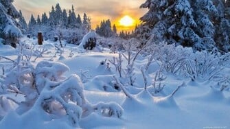Winter HD Wallpaper For Mac Sekpic Image Hosting Script