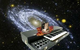 Cats In Space Wallpaper Image Pictures Findpik
