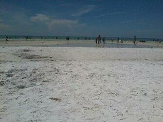 Sarasota Siesta Key Public Beach