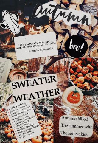 Fall Collage Wallpaper Top Background