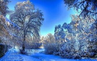 Background Winter Snow Branches Wallpaper Widescreen
