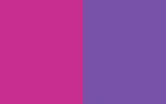 Resolution Royal Fuchsia And Purple Solid Two Color Background