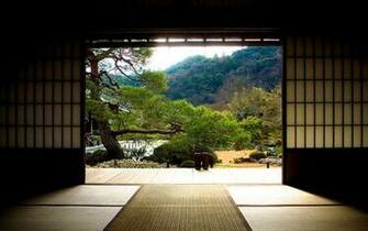 Dojo Wallpaper Top Background