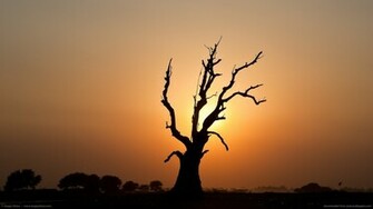 Evil Dead Wallpaper