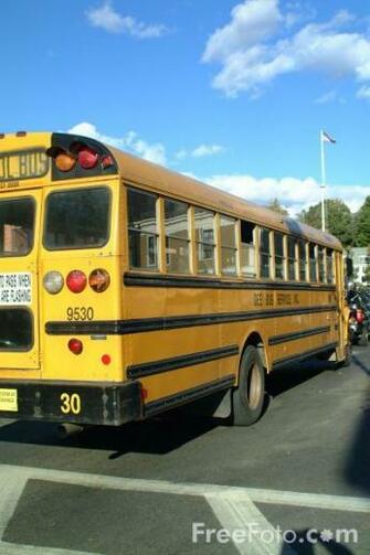 Yellow School Bus Pictures Use Image By Foto