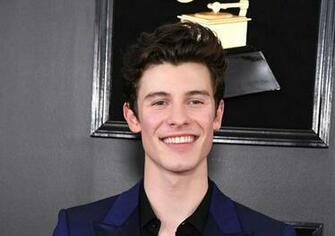Shawn Mendes Fronts New Calvin Klein Campaign The Independent
