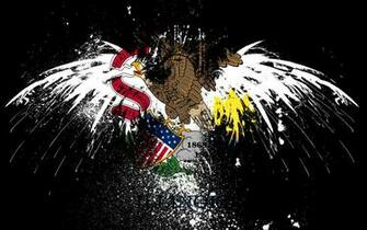 Eagles Hawk Flags Usa Illinois State Wallpaper High