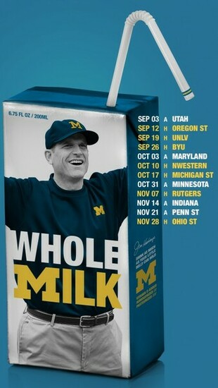 Michigan Football Fan Art The