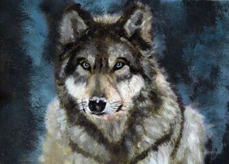 Pictures Of Grey Wolf Wallpaper HD Base