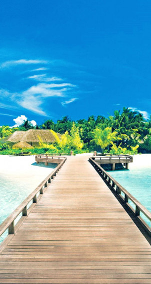Summer Quotes Wallpaper For Phone