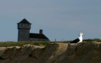 Photo Prise Provincetown Cape Cod La Sharing