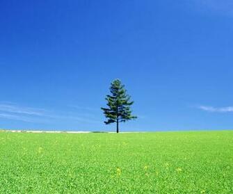Beautiful Tablet Pc Background Wallpaper For All