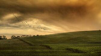 Beauty Silence Wallpaper