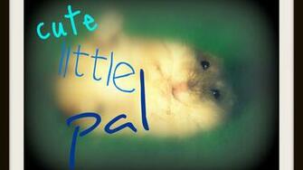 Cute Little Pal Wallpaper Allwallpaper In Pc En