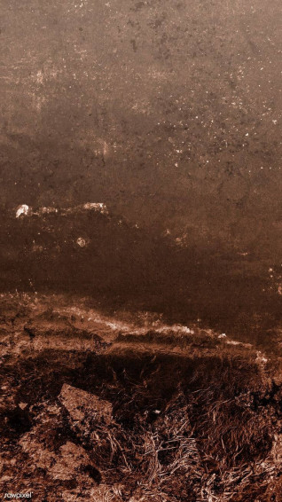 Top Dark Brown Aesthetic Wallpaper Full HD 4k To Use