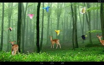 Rain Forest Live Wallpaper Android Apps On Google Play