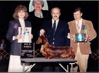 Ch Walmar S Madge V Boondox Rom The Dachshund History Project