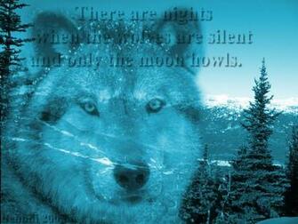Computer Wallpaper Windows Wolf Mountain Scene