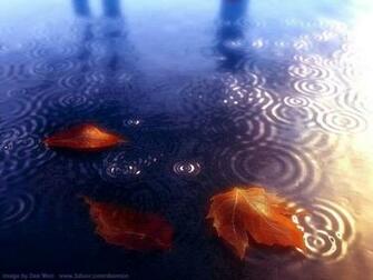 Wallpaper Resolution 114s Image Size 32k