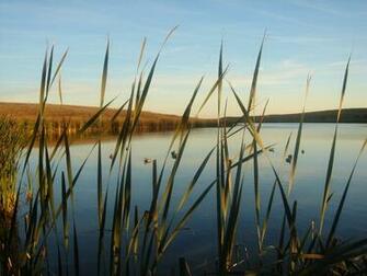 Duck Hunting Wallpaper Net