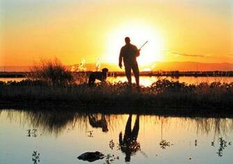 Goose Hunting Wallpaper Waterfowl Runner Up