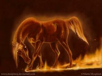 Fire Horse By Mospineq