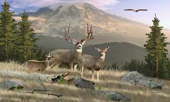 Mule Deer Art Painting Hunting Monster Buck Record Pictures