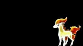 Ponyta HD Wallpaper