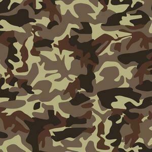 Desert Camouflage Vector Vectors Net