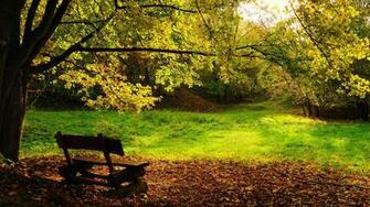HD Wallpaper Autumn Bench Nature