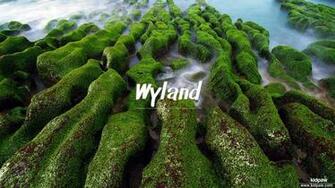 Christian Baby Boy Name Wyland Meanings Religion Origin Details