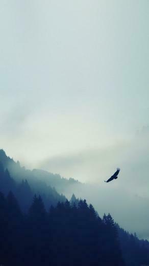The Revenant Click Here To Nature Wallpaper