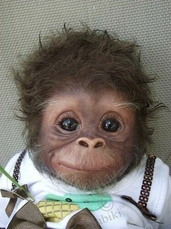 Cute Monkey The Art Mad Wallpaper