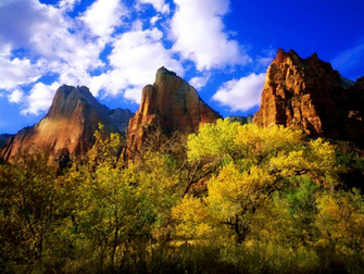 Zion National Park Id