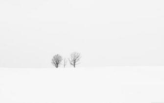 White Minimalist Desktop Wallpaper Top