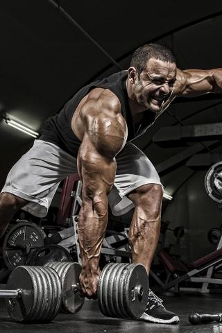 HD Bodybuilding Wallpaper For Mobile Teahub Io