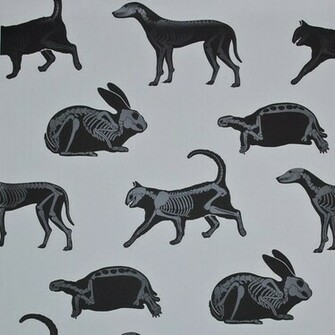 Neat Wallpaper Perfect For Phily S Future Practice