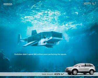 Url Imageci Shark Wallpaper HD Html