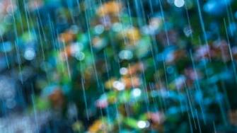 Sun Shower By David Ruth