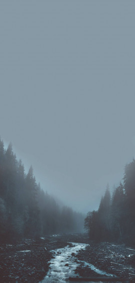 Twilight Aesthetic Wallpaper