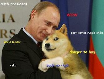 Dodge Doge Meme Wallpaper Animalgals
