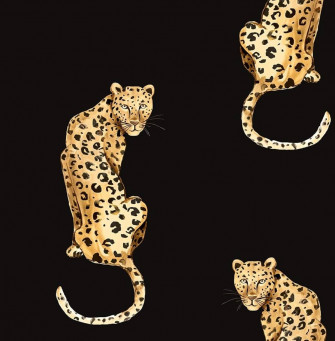 Black Leopard Wallpaper